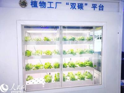 財(cái)經(jīng)觀察:著重激發(fā)創(chuàng)新源頭活力 科技讓生活更精彩